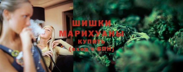 шишки Горнозаводск
