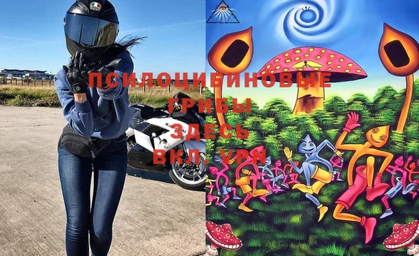бошки Абаза