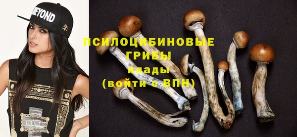 альфа пвп Горняк